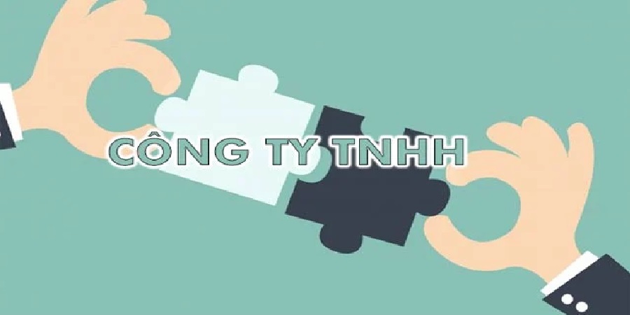 Khái Niệm về Công Ty Trách Nhiệm Hữu Hạn