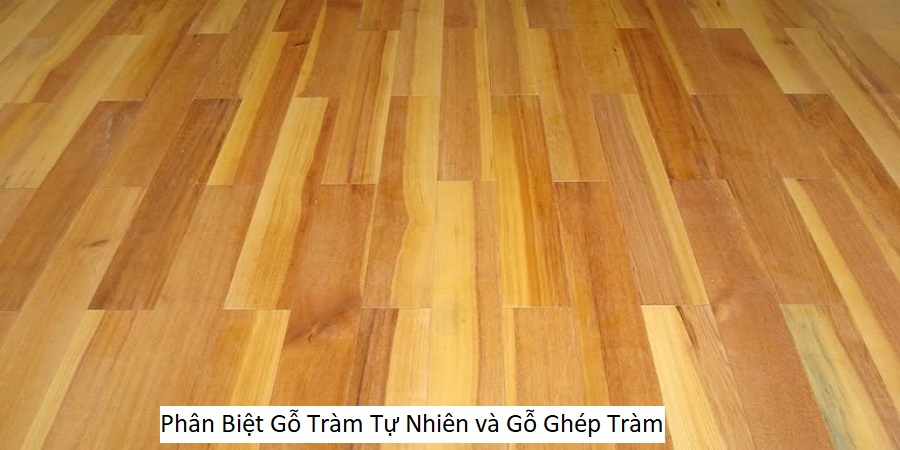 Phân Biệt Gỗ Tràm Tự Nhiên và Gỗ Ghép Tràm